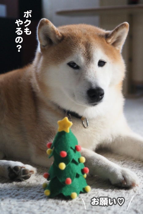 23日夕ブログ５