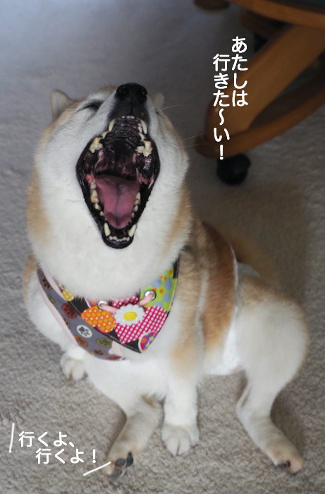15日夕ブログ５