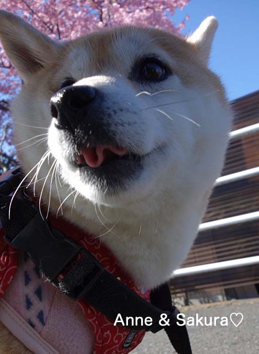 20日ブログ２