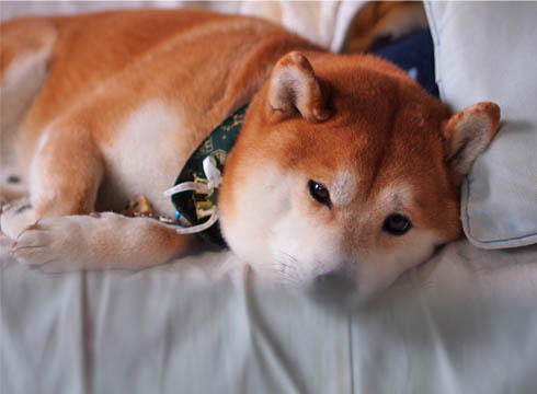 18日ブログ13.jpg