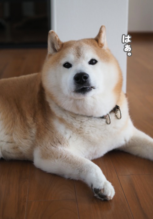 6日ブログ４