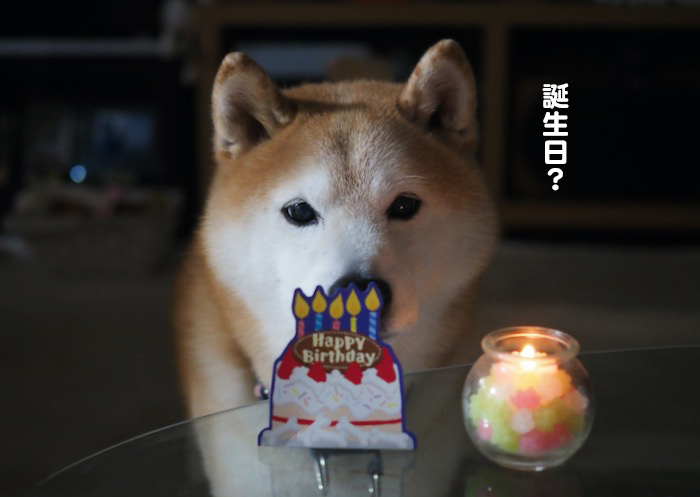 23日ブログ２