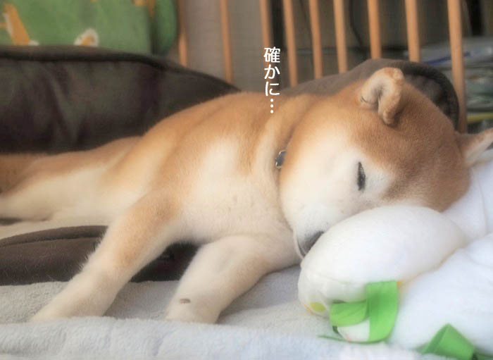 16日ブログ５