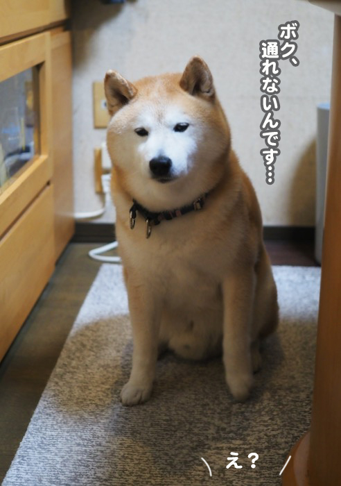 23日夕ブログ３