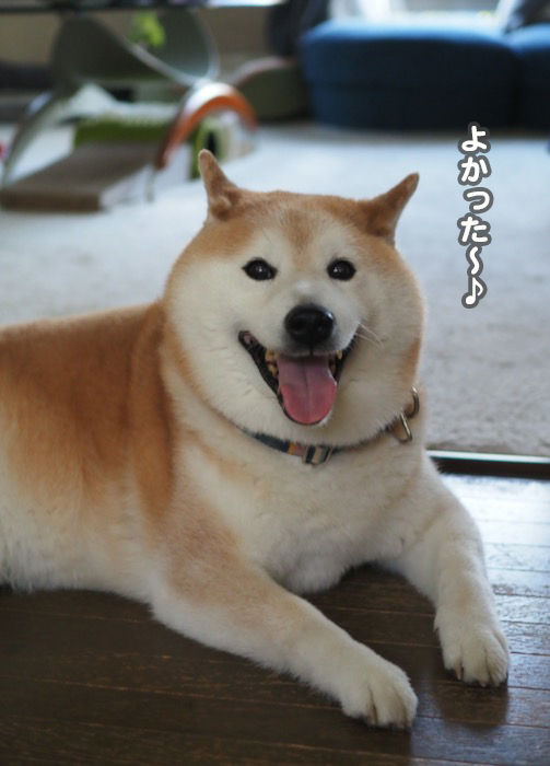 3日夕ブログ8