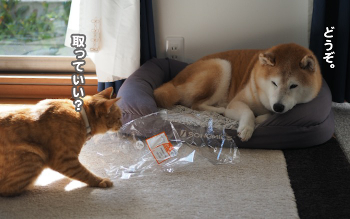 22日夕ブログ９