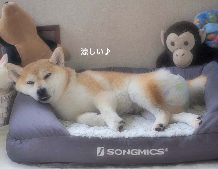 28日夕ブログ４