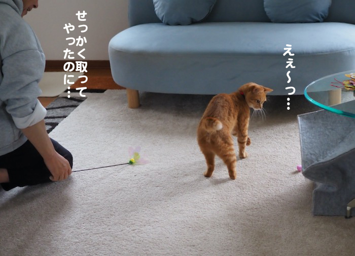 9日夕ブログ８