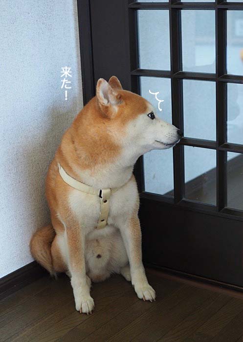 13日ブログ11