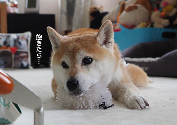 2日夜ブログ４