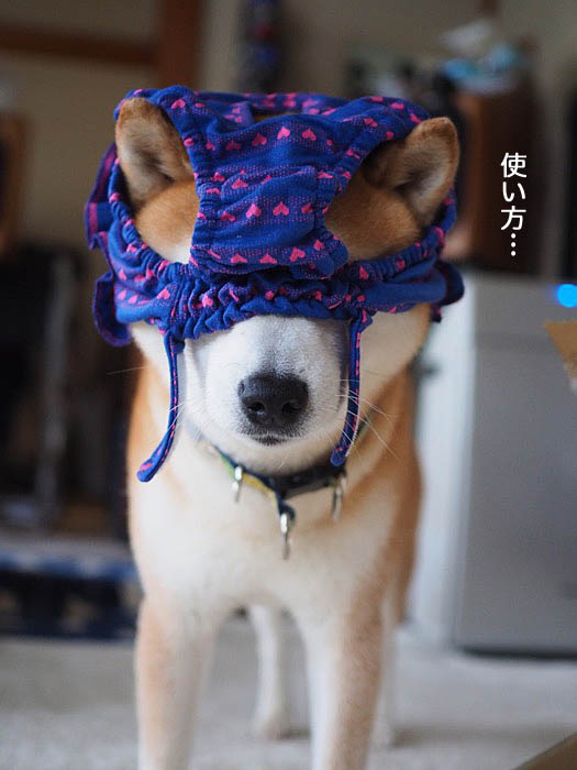 21日ブログ５