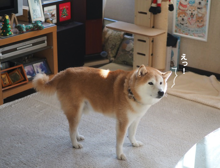 7日ブログ４