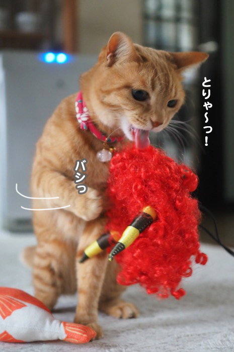 3日夕ブログ２