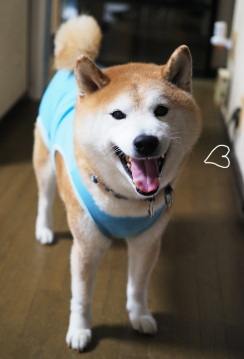 30日ブログ１