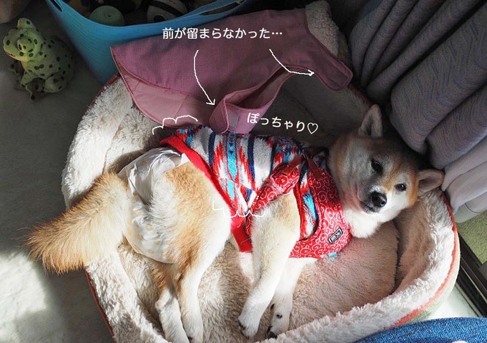 22日ブログ４
