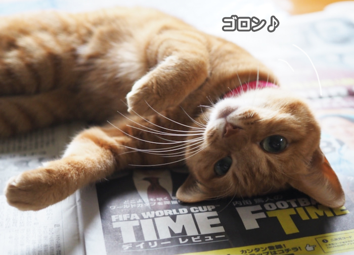 21日夕ブログ２