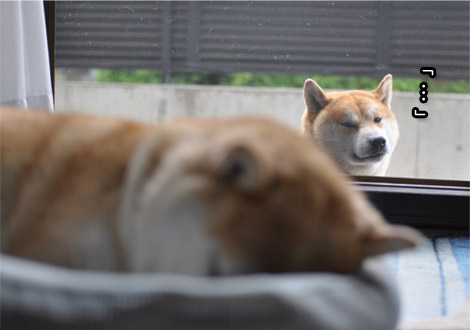 2日ブログ５.jpg