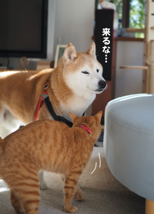 7日夕ブログ２