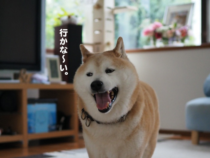 24日ブログ1