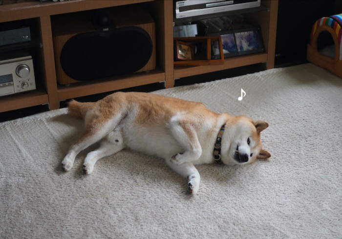 28日夕ブログ５