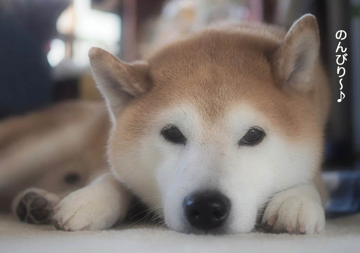 3日ブログ３