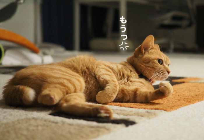 7日ブログ5