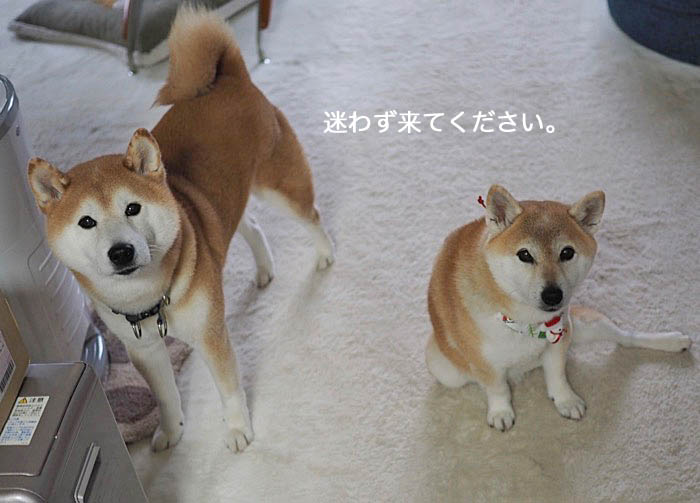 8日夜ブログ１