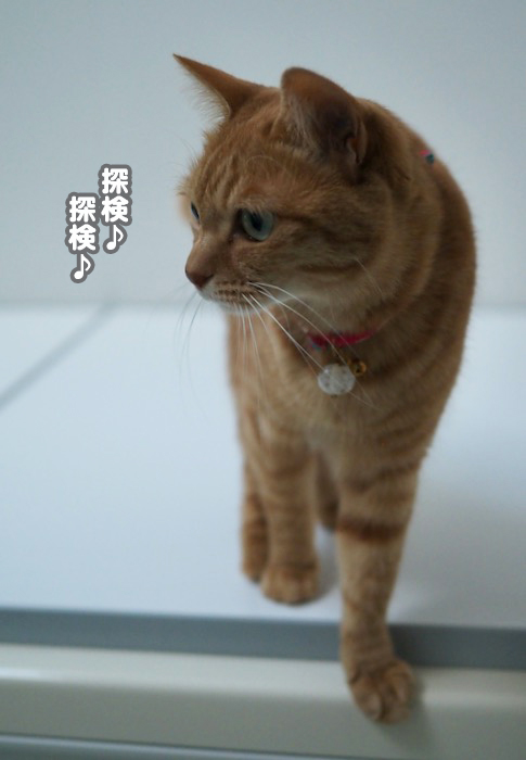 13日夕ブログ２