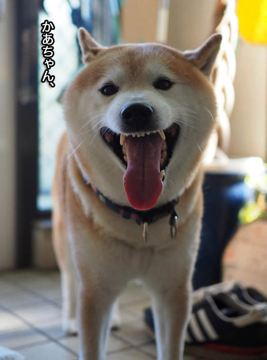29日ブログ３