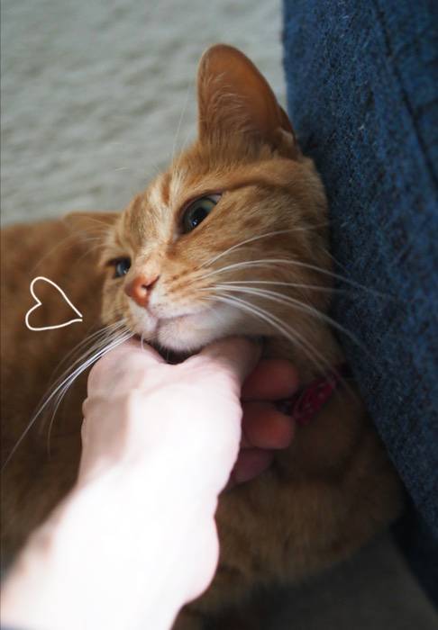 3日夕ブログ６