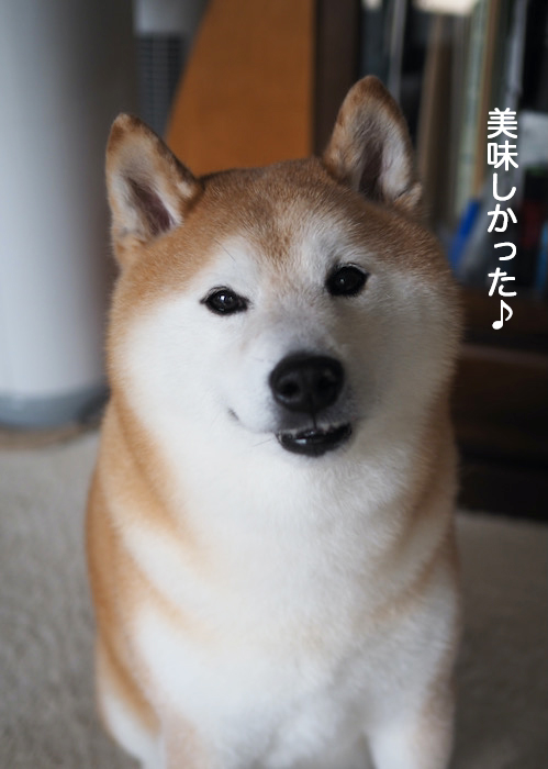 10日ブログ７