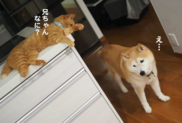 4日ブログ５