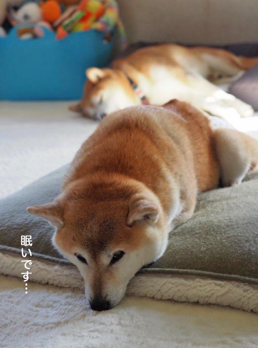 20日夜ブログ２