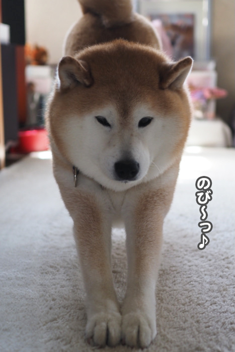 19日夜ブログ3
