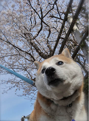 23日ブログ3.jpg