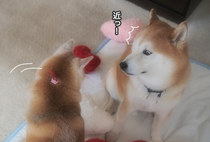 14日ブログ６