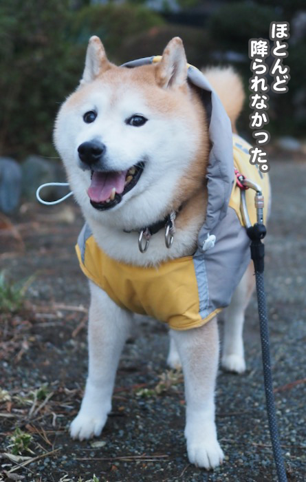19日夜ブログ４
