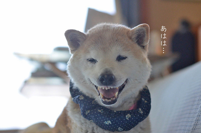 23日ブログ7