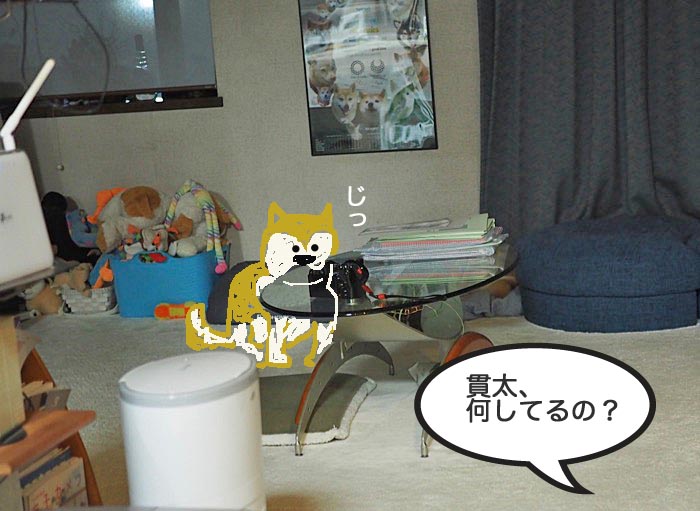 31日ブログ１