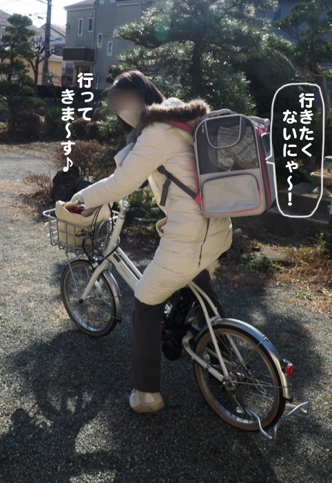 9日ブログ６