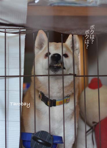 26日ブログ7.jpg