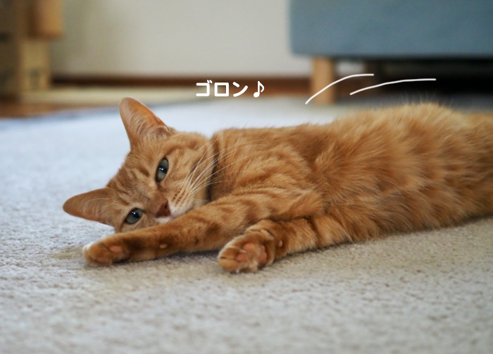 28日夕ブログ１０