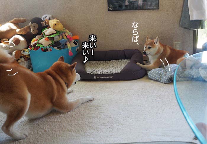 7日ブログ５