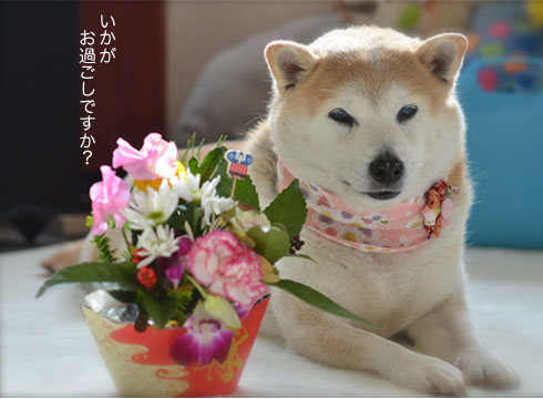 3日ブログ3.jpg