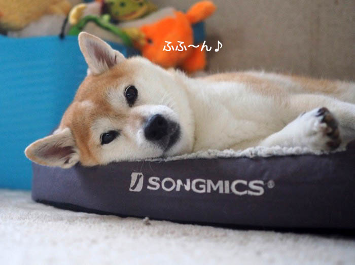 1日夕ブログ２