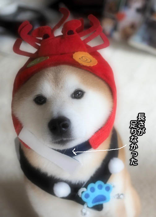 12日ブログ１