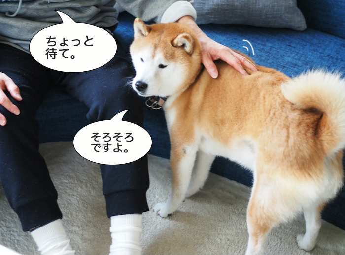 8日夜ブログ３