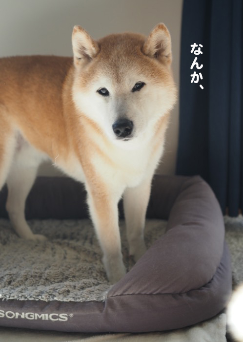 14日夜ブログ２