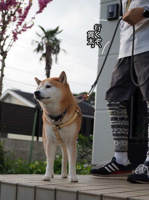 11日夜ブログ６
