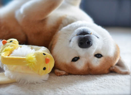 10日ブログ4.jpg